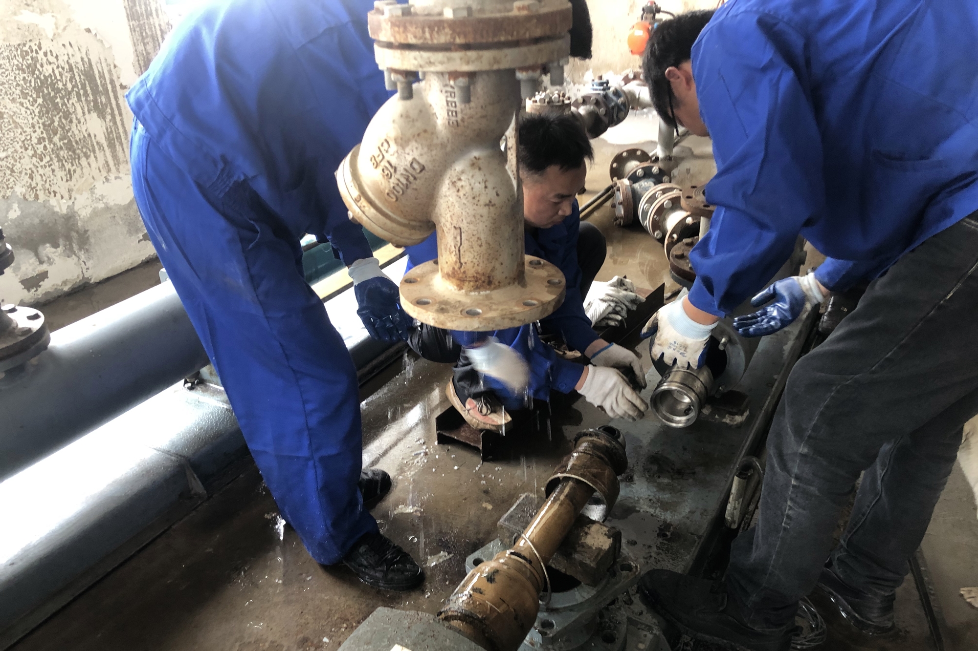 凯时K66·(中国)最新官方网站
